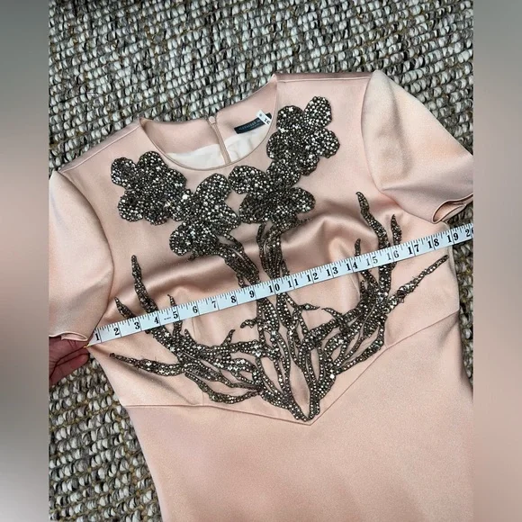 Gorgeous Alexander McQueen Gown size 48 - Picture 7 of 12